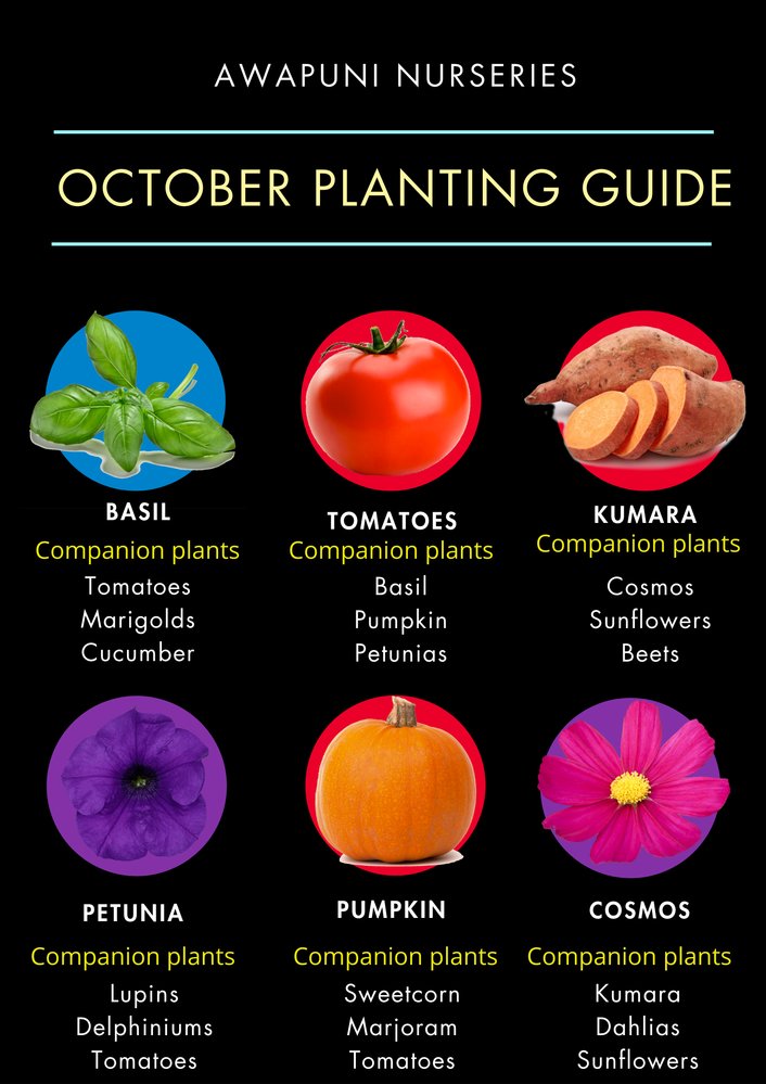 October